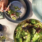 Le Creuset Online Vancouver Pasta Bowls, Set of 4 - Vancouver Pasta Bowls, Set of 4 - Image 3